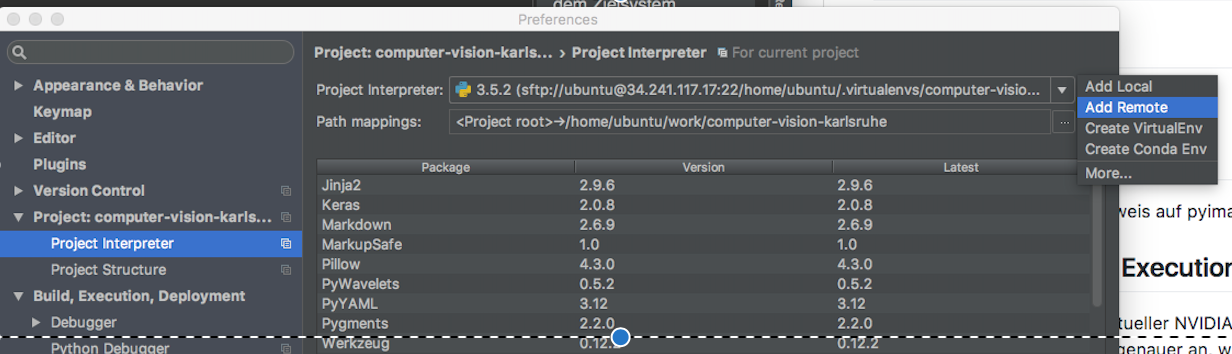 remote_interpreter